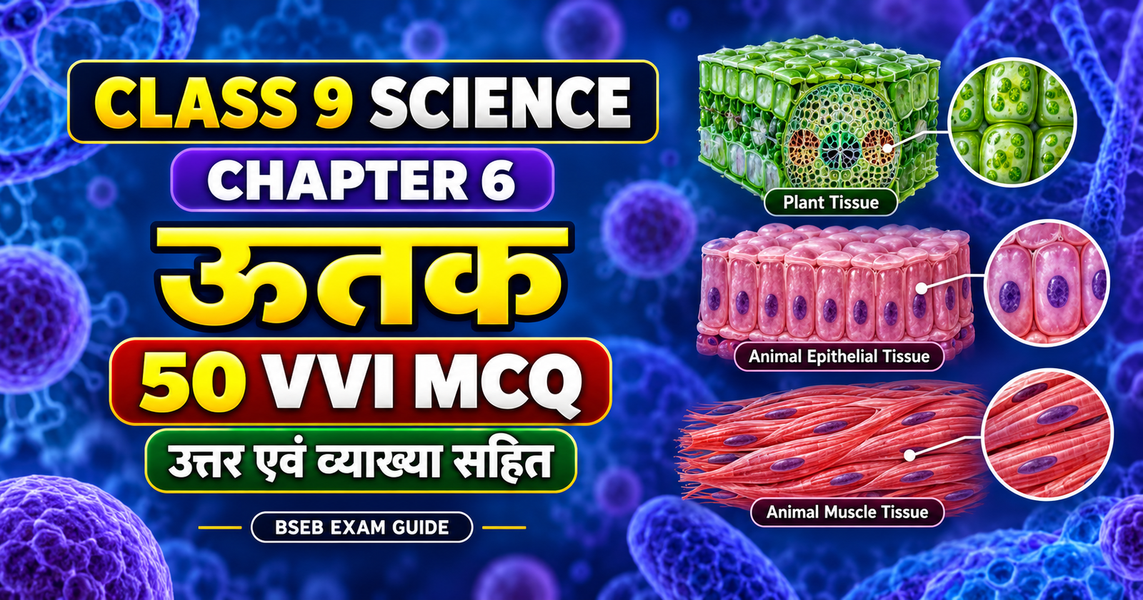 Class 9 Science Chapter 6 Tissues – 50 VVI MCQ Class 9 Science Chapter 6 Tissues – 50 VVI MCQ