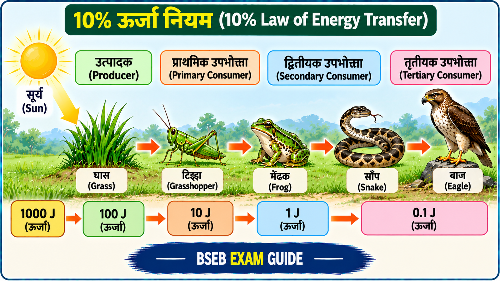 10 प्रतिशत ऊर्जा नियम 10 Percent Law