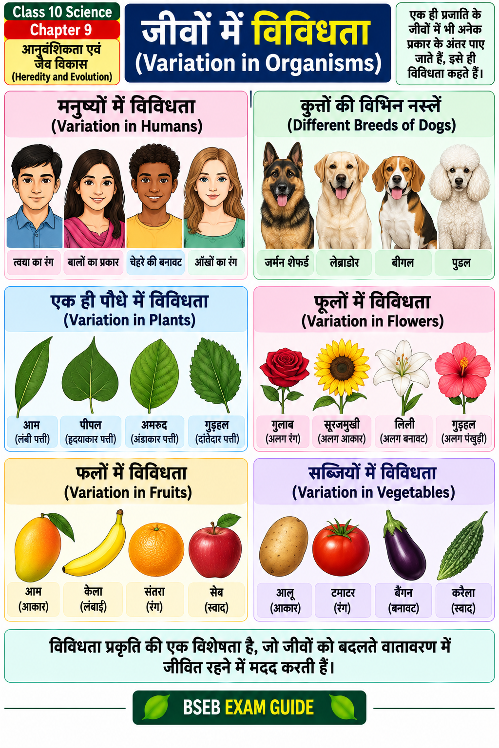 जीवों में विविधता Variation in Organisms Class 10 Science